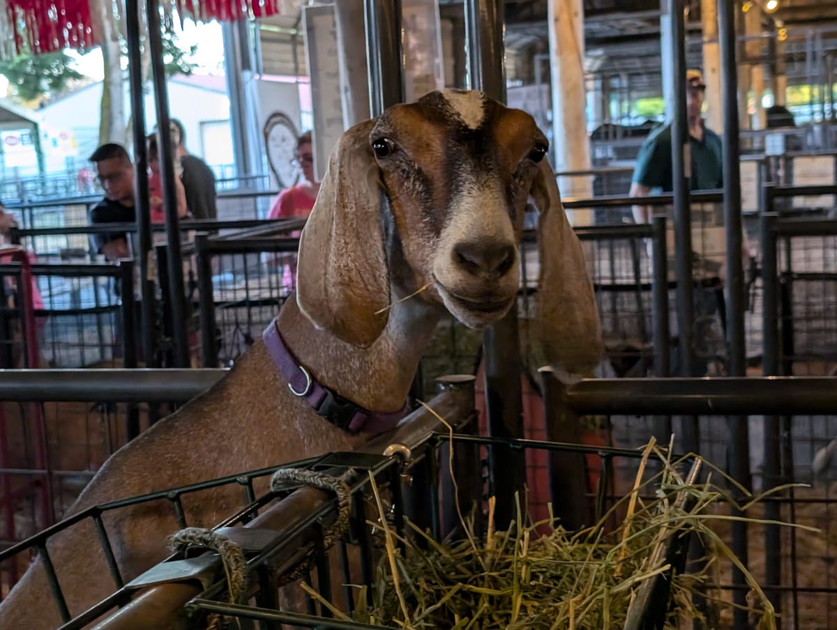 Washington County Fair returns July 18 through July 27