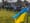 Protests at Forest Grove flagpole grow over Trump, Musk, and Ukraine