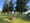American Legion to hold Memorial Day observance at Forest View Cemetery