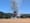 Gales Creek brush fire draws fire, hazmat response to Cox Road