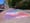 Forest Grove News: Corn, Chalk... Egg? | September 20, 2025