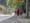 Forest Grove News: Search continues for missing man, Forest Grove shooting leaves one injured | October 17, 2025