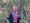 The Parson Road spiderman has made it to Google Maps
