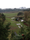 Column | On the Farm: Garden Starts, Oregon Legislature