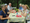 Column | Gales Creek Gatherings: Lily Festival, National Night Out, and more