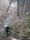 Stream restoration projects continue on Gales Creek in Tillamook Forest