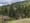 Oregon Appeals Court reverses $1.1 billion verdict over state forest management