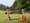 Two community cleanups coming to Gales Creek in April