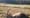 Oregon State Police seek public help after bull elk killed just outside Vernonia