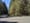 Pacific University researchers study western red cedars in Gales Creek