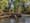Clean Water Services says most work at Balm Grove is complete