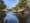 Tree planting event at Balm Grove scheduled for March 22