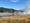 Fire crews extinguish field fire near Stringtown Road