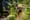 Runners tackle the Tillamook Forest in three-day Tillamook Burn Trail Run