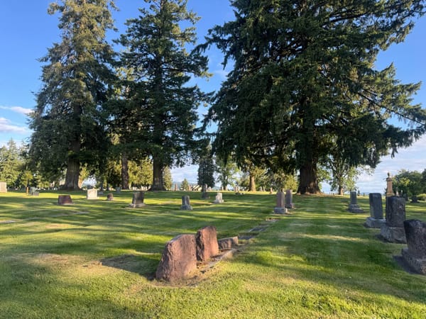 American Legion to hold Memorial Day observance at Forest View Cemetery