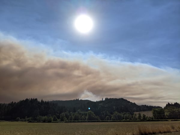 Oregon got a massive federal recovery grant after 2020 wildfires. Most of the money remains unspent