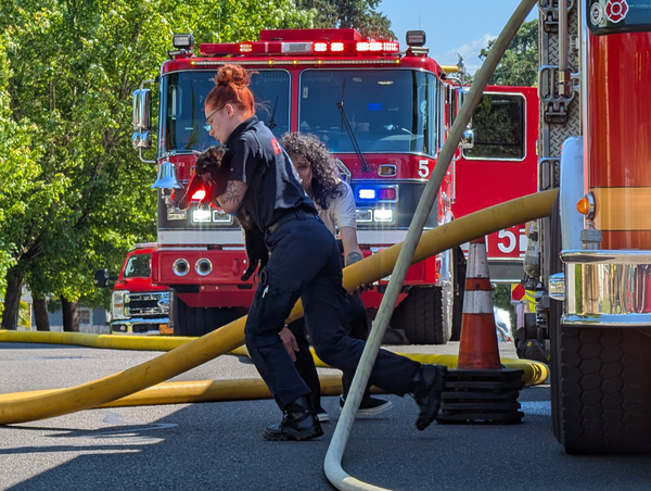 Home damaged in fire, nine cats killed, two rescued