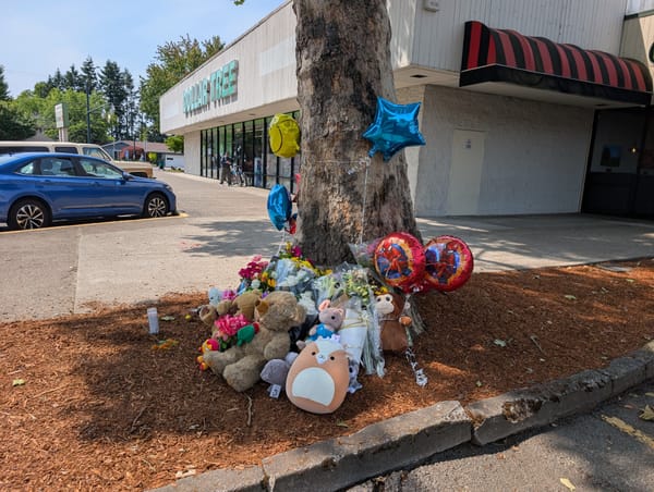 After child's death, "no need to post blame," say first responders