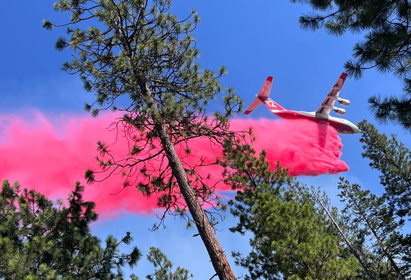 Gov. Kotek declares statewide emergency over wildfires