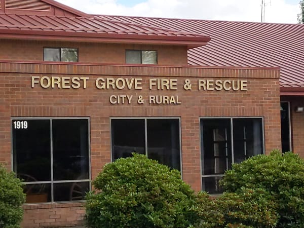 Chief Geering urges rural fire district to take ownership of board duties