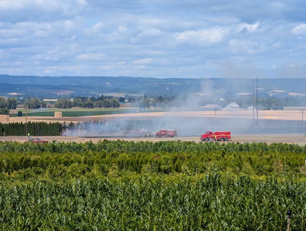 Fire crews extinguish blaze in rye field north of Purdin Rd