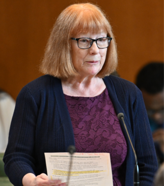 State Rep. Susan McLain to host town hall Tuesday afternoon