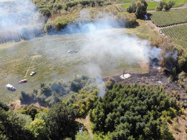 Fire knocked down near Roy