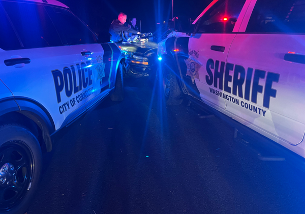 Sheriff's Office: 'Wrong way' driver arrested near Dilley after chase