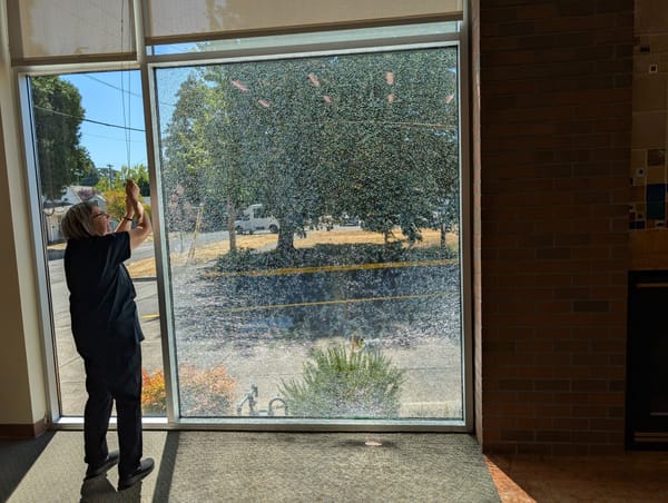 Arrest made after businesses, library windows shattered | August 1, 2025
