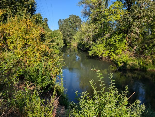Body parts found in Tualatin River